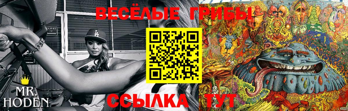 Тихвин  Псилоцибиновые грибы мухоморы  Вход с VPN 